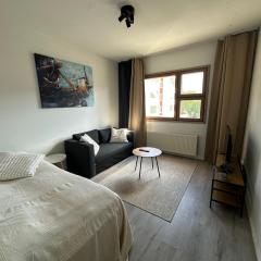 Cozy apartment near the city center with parking