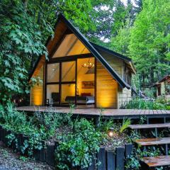 Complejo de Cabañas Ideales para parejas