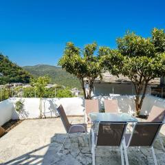 Anemoessa Villa - Panagia Village