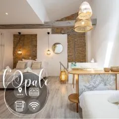 L'Opale - Duplex Calme en Hypercentre