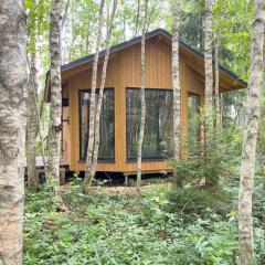 Paunküla Nature Villa