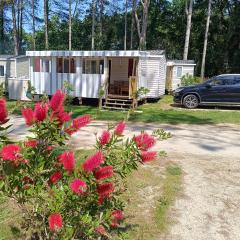 Mobil home 6 personnes Mer et Pins