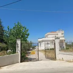 Palataki