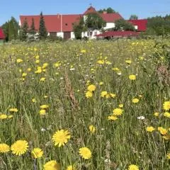 Viesu māja Bitītes