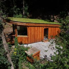 The Toads Hideout - A Cabin in an Ancient Welsh Woodland