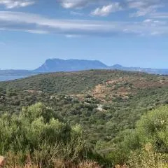 Agrustos Paradise