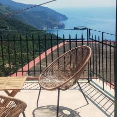 Salvia, Cinque Terre