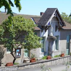 Retraite en Montagne Bourbonnaise: Gîte Convivial pour 14 Pers., Proche Loisirs et Nature - FR-1-489-343