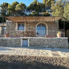 Bastidon provençal entièrement rénové et climatisé