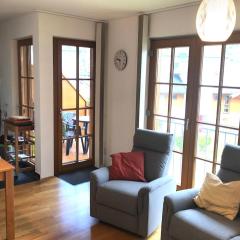 Christina 6 by SMR Rauris Apartments - inc Spa and near Gondola