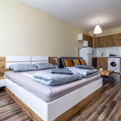 Ishirkov Residence Studio