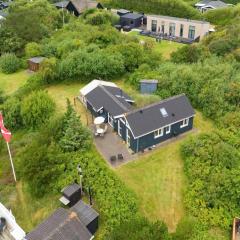 1132-Ringkobing-Hvidbjergvej-32