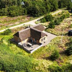 200-Ringkobing-Lyngsletten-49