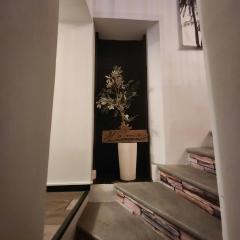 Le Celeste Maison de Village avec toit terrasse