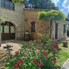 All'Ombra di San Damiano