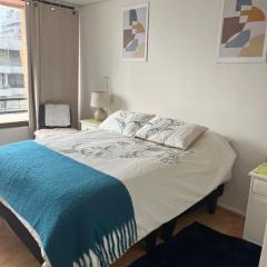 Cozy apartment in the center of Providencia, Acogedor departamento en el centro de Providencia