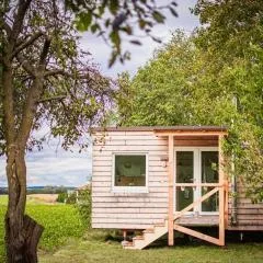 Time out in a tiny house