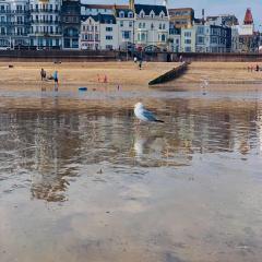 Sea Spray Victorian Apartment