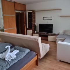 Apartment for rent near the center