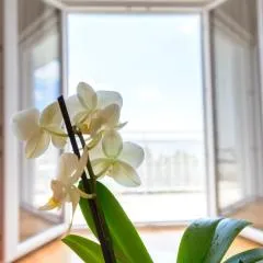 Apartments Marija