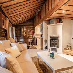 Aurora Nest By Aavalevi