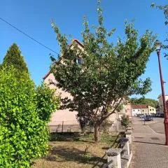Entre sarre et albe chez stelvia et titi