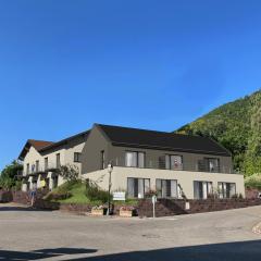 Les Appartements Husseren Collections - Proche Colmar - Eguisheim