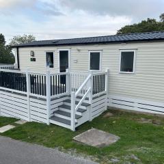 HoneyBees At Glade 17