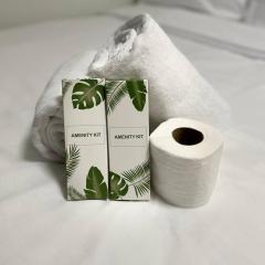 The Ren Suite Facing Amenities