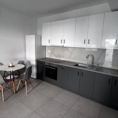 Thalassa Cosy Apartment Nikiti