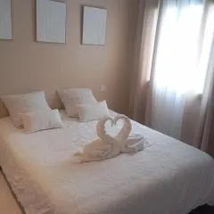 Maison moderne individuelle dans lotissement calme