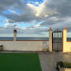 Terrazza delle Acacie