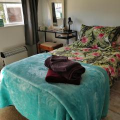 Professional, quiet and cosy bedroom Close to town and to Waikato Hospital
