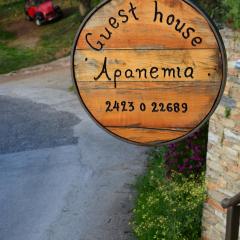 Guesthouse Apanemia