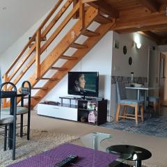 Mountain Apartment Vlašić Babanovac