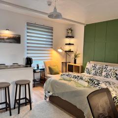 Perfectly located Studio in Vibrant Finsbury Park