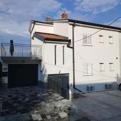 Aurelia