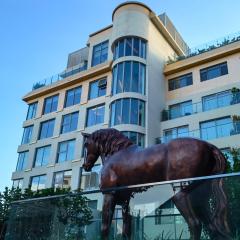 The Purple Horse Hotel 北京紫龙花园酒店 - Beijing Sky Garden Boutique Hotel & Rooftop Infinity Mini Pool & near Forbidden City & Wangfujing & Tiananmen & Nanluoguxiang & Lama Temple
