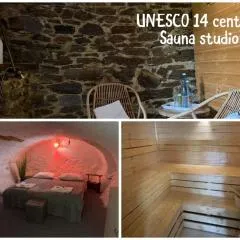 Sauna apartment UNESCO 14 century