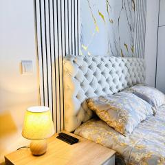 Penthouse Studio Borovi