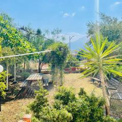 Il Giardino di Rosa & Elino