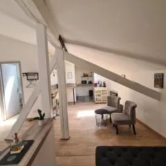 Nice studio under the roof ideal for 2 in Toulouse