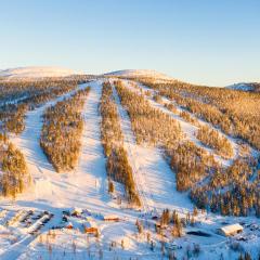 Fulufjellet cabins