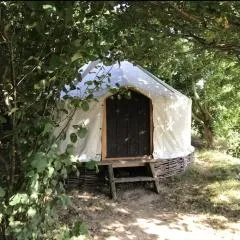 Handcrafted grain-store yurt in Somerset woodland
