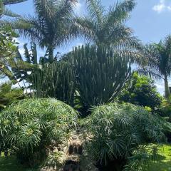 Garden Escape
