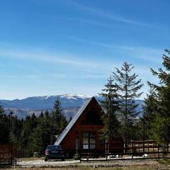 Cabană Panoramic Aframe