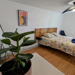 Appartement centre de Barr