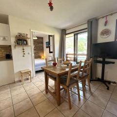 Appartement cosy 2 pièces, 6 couchages, proche pistes et commerces, La Salle-les-Alpes - FR-1-330F-214