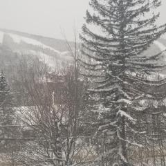 Mountain view chalet avec vue sur la montagne