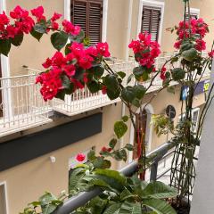 Home Sicilia